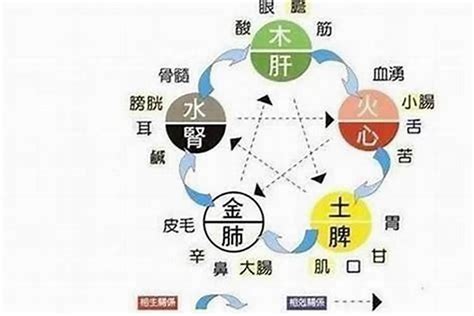 五行水弱|五行缺水之人